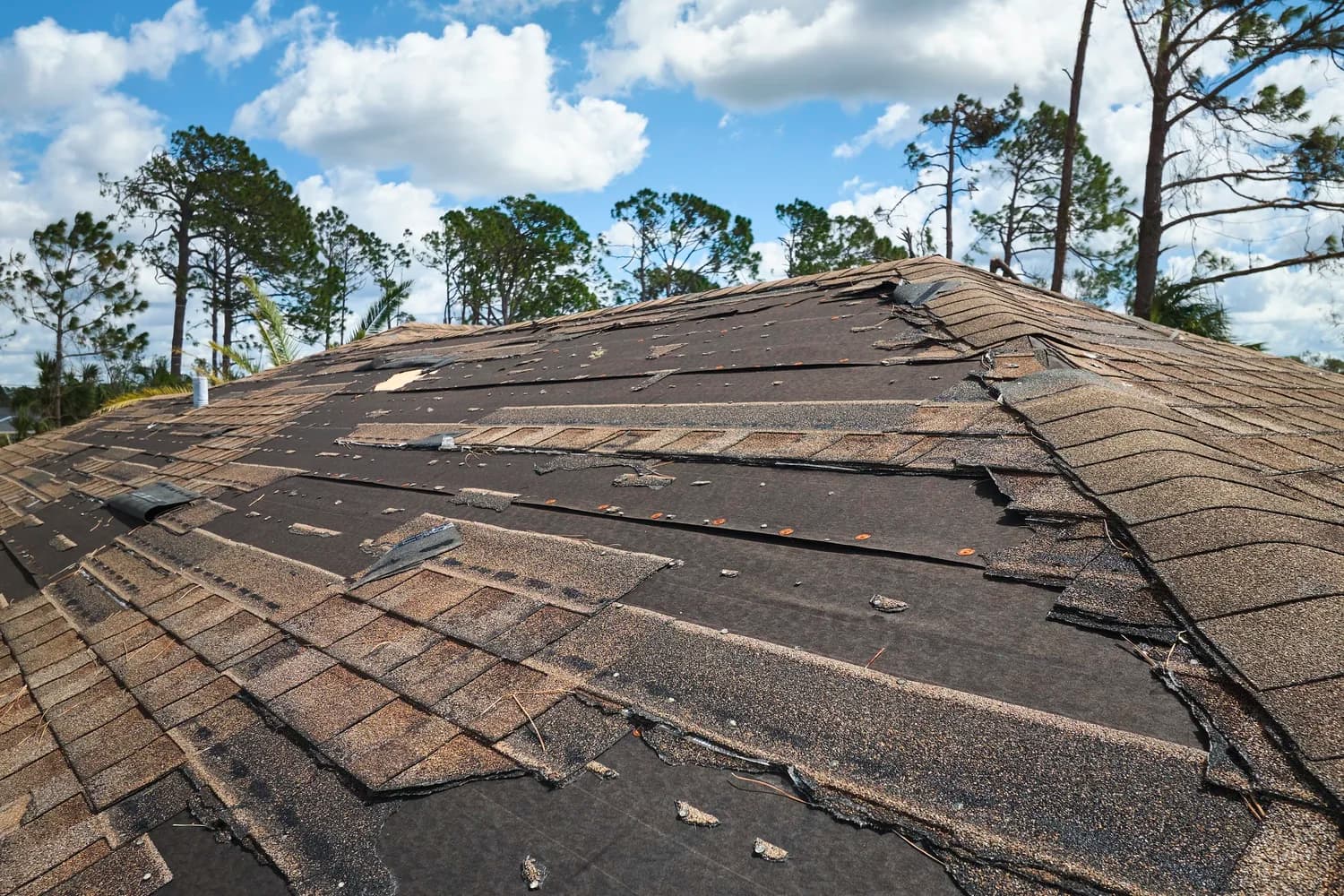 Storm-damaged shingle roof with many shingles torn away, exposing dark underlayment and nail heads