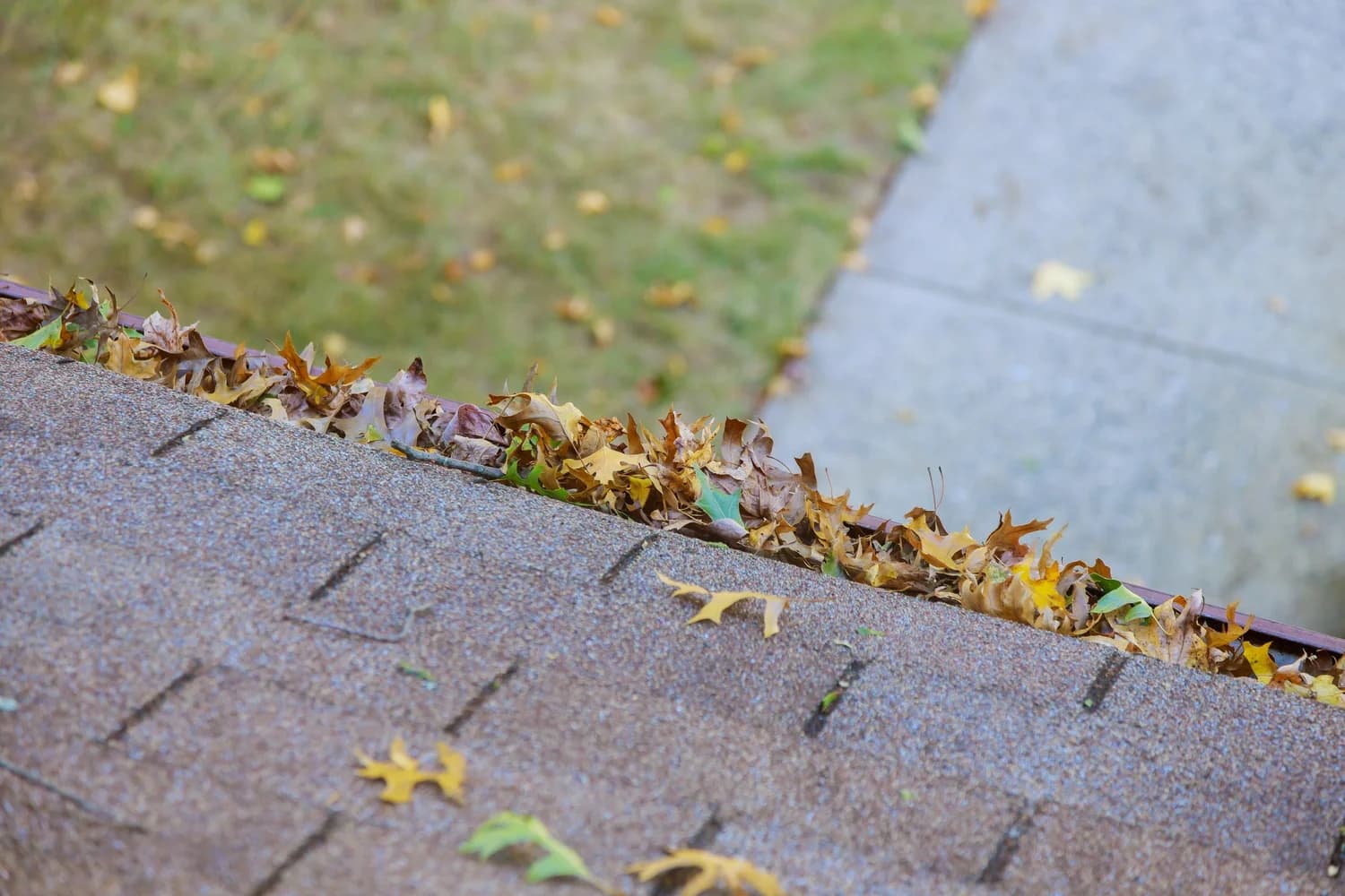 Edge of an asphalt shingle roof with a gutter clogged with dry autumn leaves