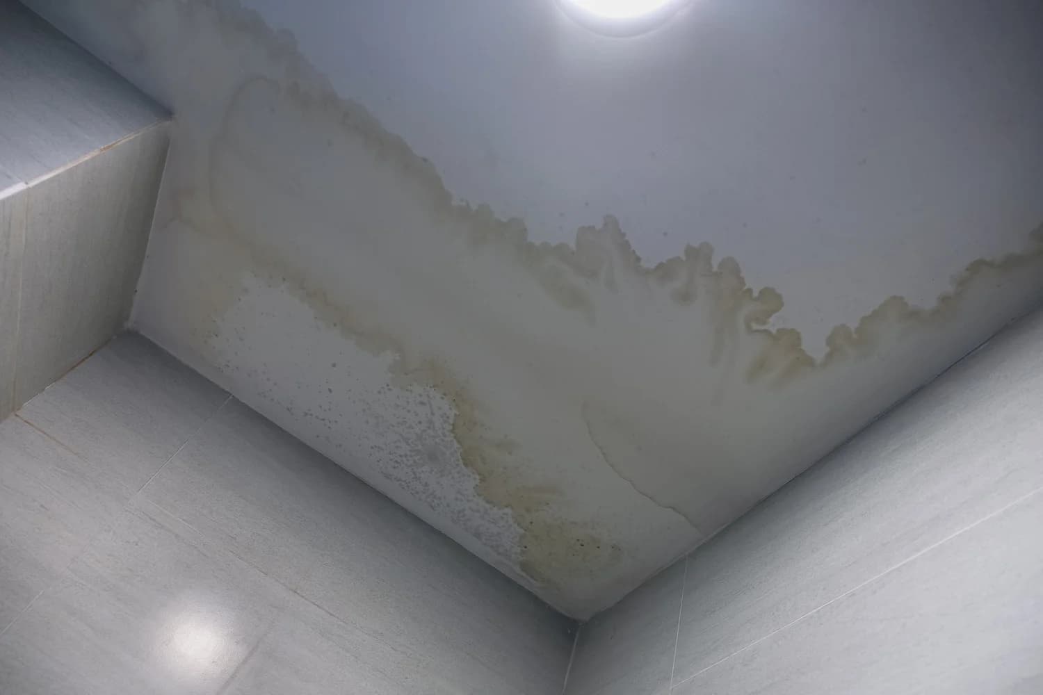 water stain on the ceiling